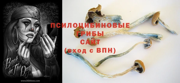 прущие крисы Алексин